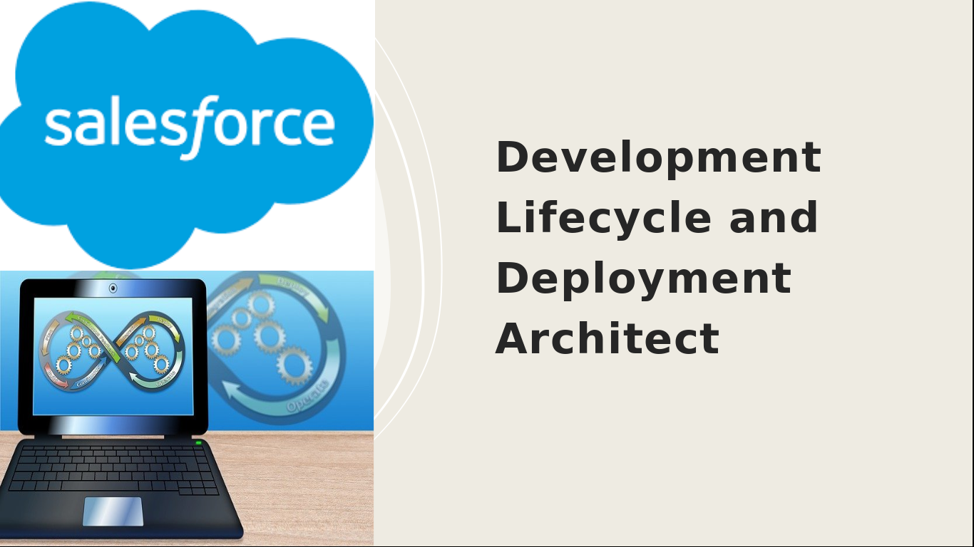 Development-Lifecycle-and-Deployment-Architect Schulungsunterlagen | Sns-Brigh10